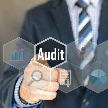 Auditing services